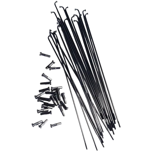Colony Plain Cauge BMX Speichen Black
