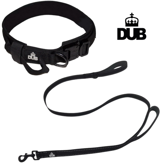 DUB BMX Biggie Hundehalsband & Hundeleine Set